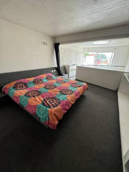 Apartamento Casita Bosque Briones Xalapa Exterior foto